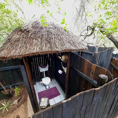 Off Beat Safaris Bush Lodge Hoedspruit Ngoại thất bức ảnh