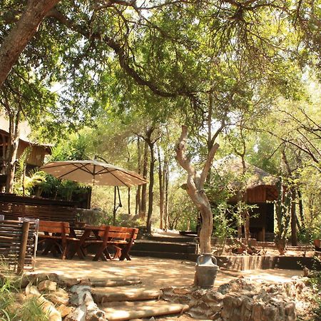 Off Beat Safaris Bush Lodge Hoedspruit Ngoại thất bức ảnh