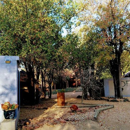 Off Beat Safaris Bush Lodge Hoedspruit Ngoại thất bức ảnh