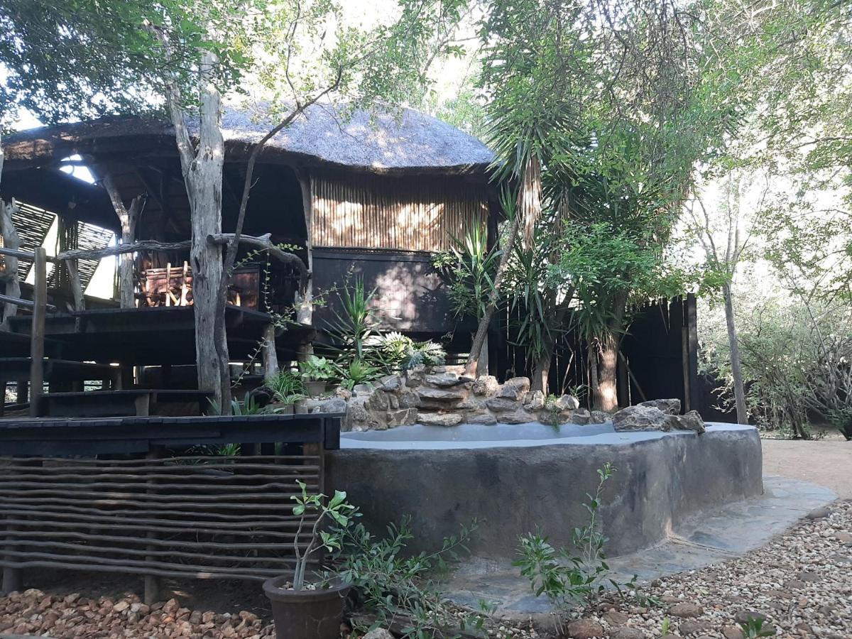 Off Beat Safaris Bush Lodge Hoedspruit Ngoại thất bức ảnh