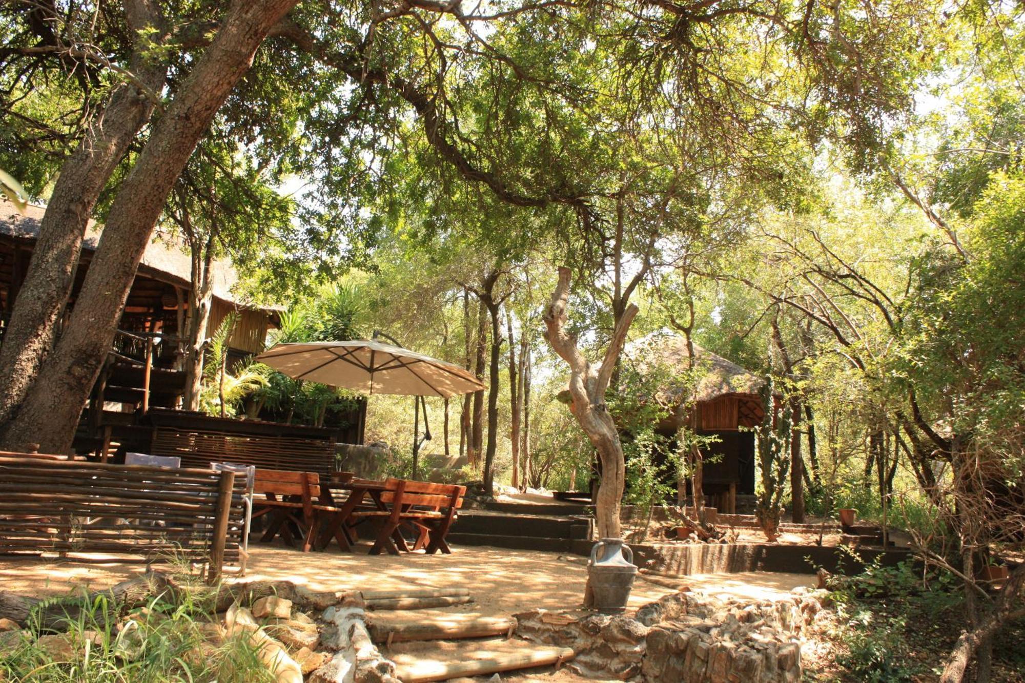 Off Beat Safaris Bush Lodge Hoedspruit Ngoại thất bức ảnh