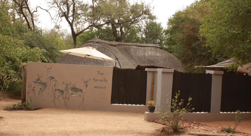 Off Beat Safaris Bush Lodge Hoedspruit Ngoại thất bức ảnh