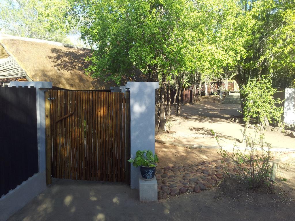 Off Beat Safaris Bush Lodge Hoedspruit Ngoại thất bức ảnh