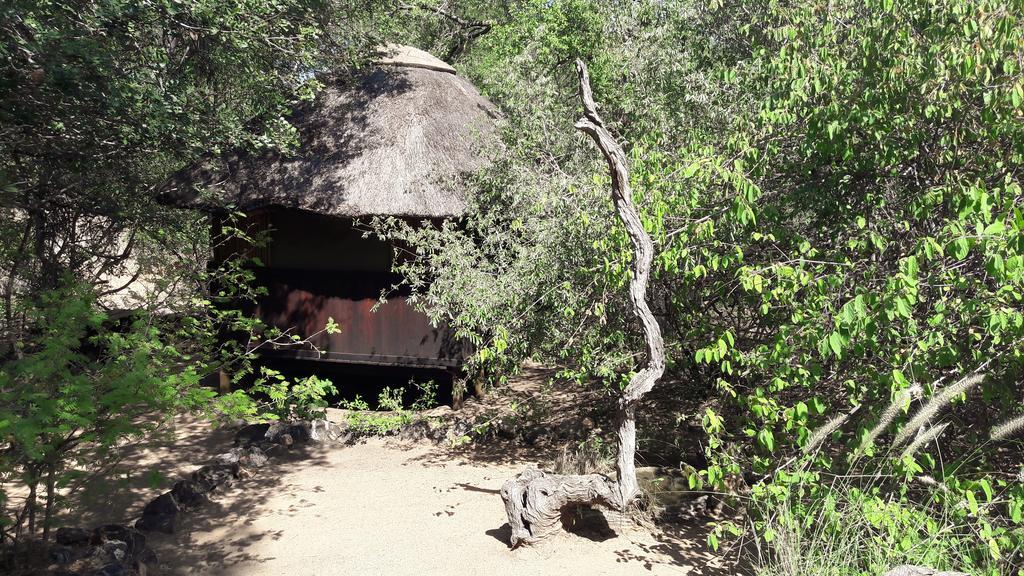 Off Beat Safaris Bush Lodge Hoedspruit Ngoại thất bức ảnh