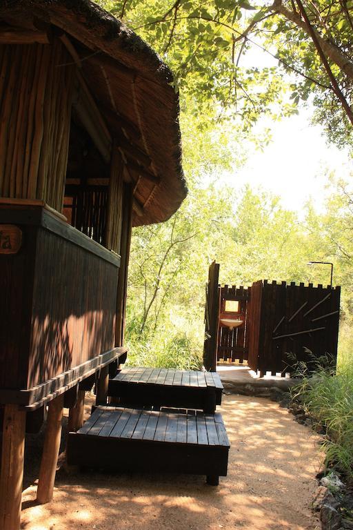 Off Beat Safaris Bush Lodge Hoedspruit Phòng bức ảnh
