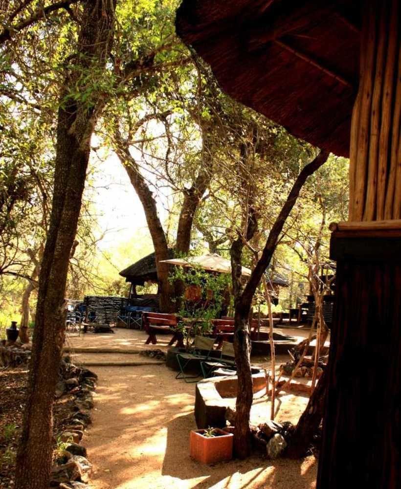 Off Beat Safaris Bush Lodge Hoedspruit Ngoại thất bức ảnh