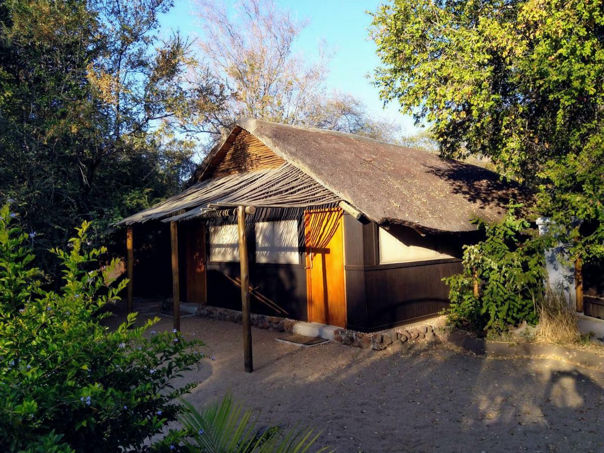 Off Beat Safaris Bush Lodge Hoedspruit Ngoại thất bức ảnh