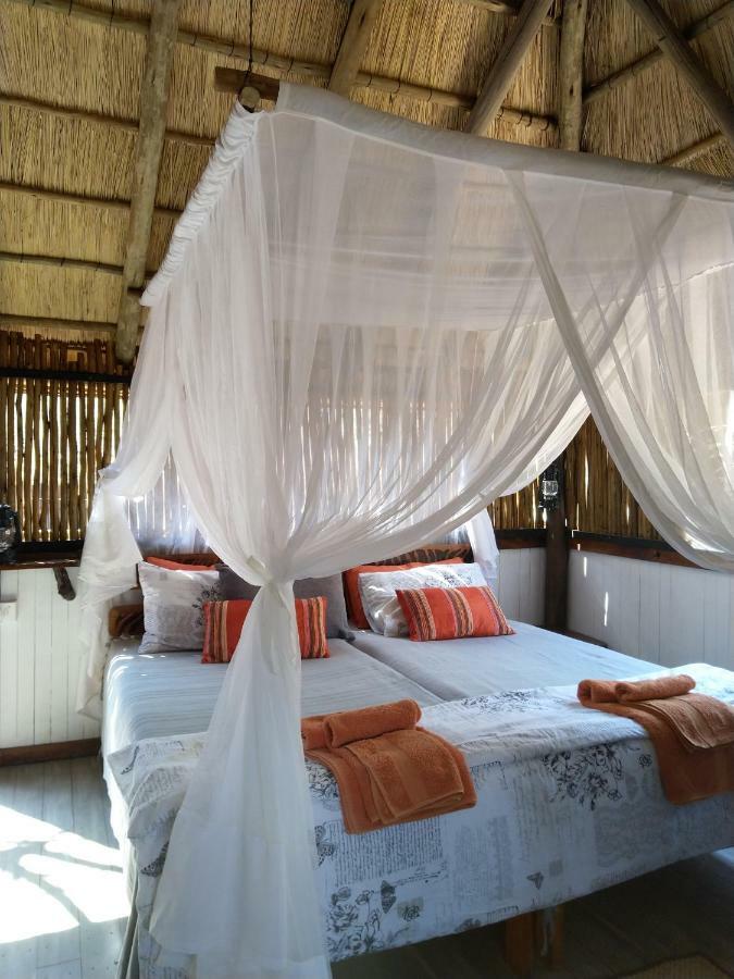 Off Beat Safaris Bush Lodge Hoedspruit Ngoại thất bức ảnh