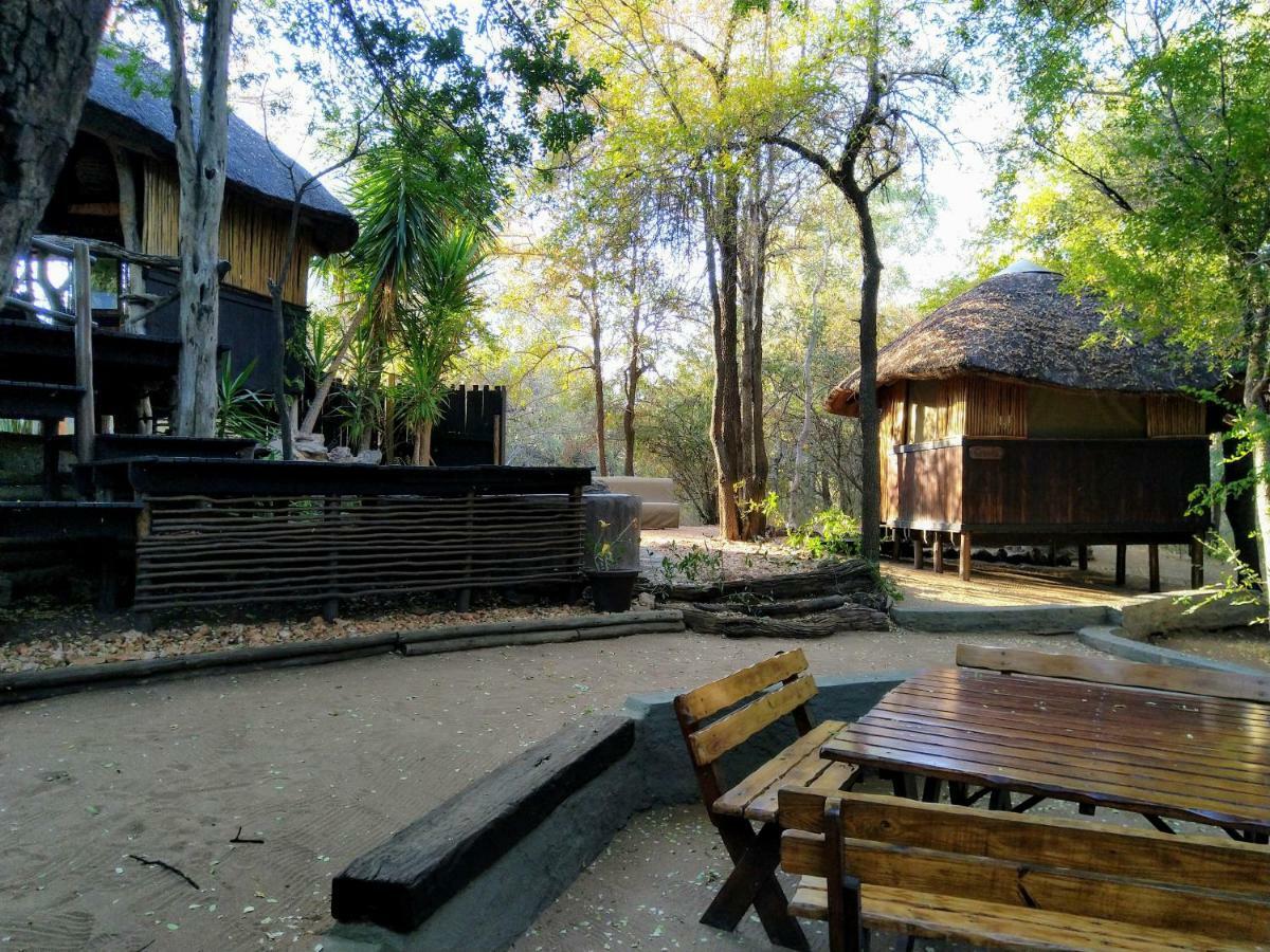 Off Beat Safaris Bush Lodge Hoedspruit Ngoại thất bức ảnh