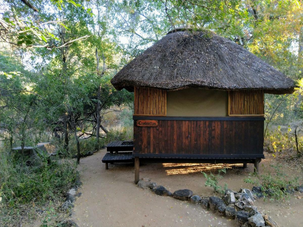 Off Beat Safaris Bush Lodge Hoedspruit Ngoại thất bức ảnh