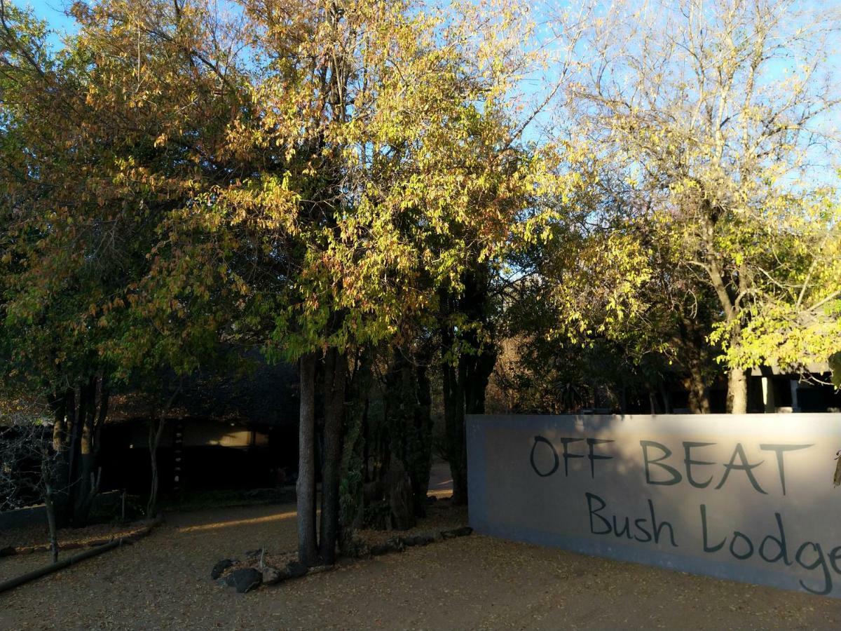 Off Beat Safaris Bush Lodge Hoedspruit Ngoại thất bức ảnh