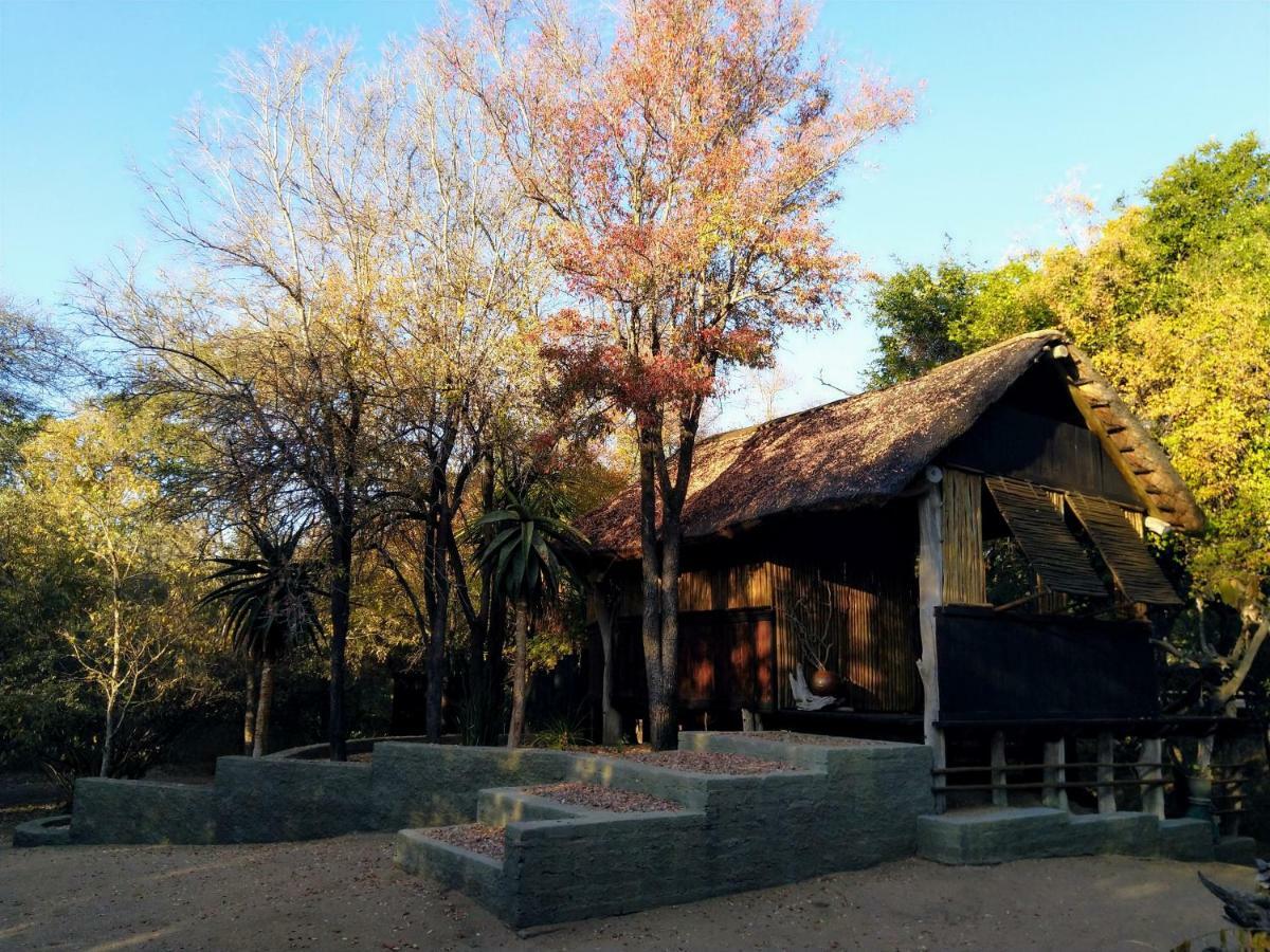 Off Beat Safaris Bush Lodge Hoedspruit Ngoại thất bức ảnh